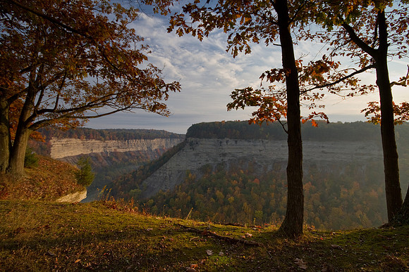 11 letchworth