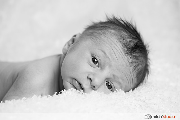 IMG_9486-bw