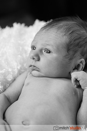 IMG_9512-bw