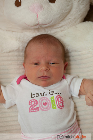 IMG_4911-Edit