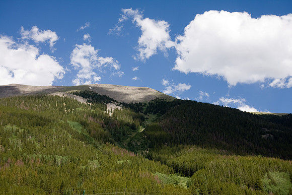 IMG_6670.jpg