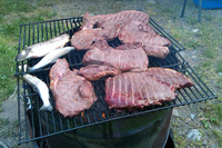 22 meat