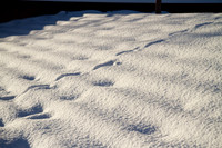 9 snow