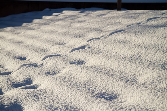 9 snow