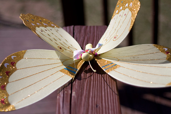 IMG_1122