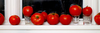 16 tomatoes