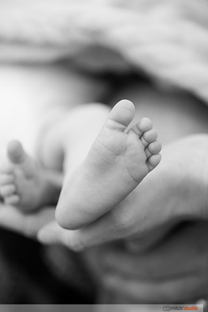IMG_1987-bw