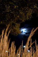 24 moon