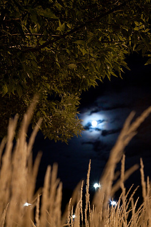 24 moon