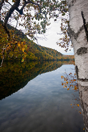 IMG_9239.jpg