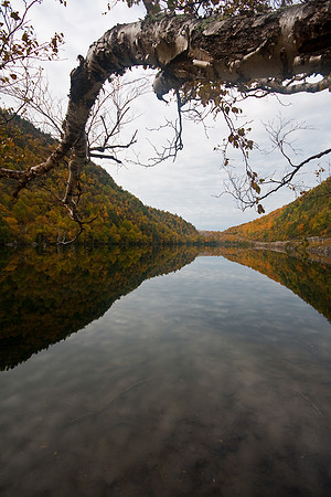 IMG_9235.jpg