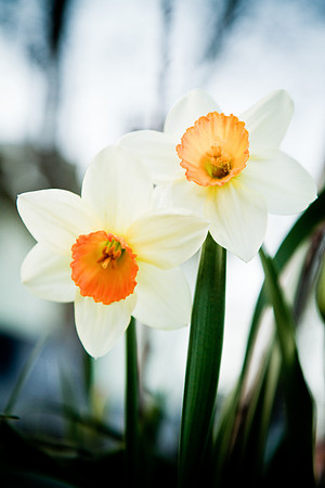 IMG_4785
